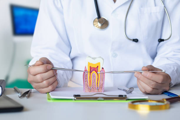 Best Emergency Dental Care for Broken or Chipped Teeth in Mckees Rocks, PA